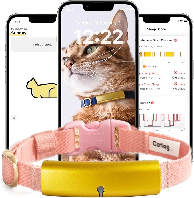 Catlog Collar
