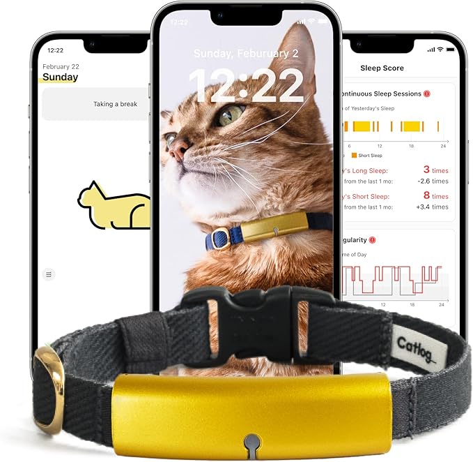 Catlog Collar