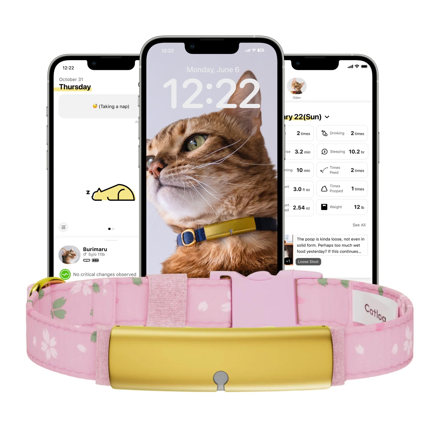 Catlog Collar - Health Tracker for Cats