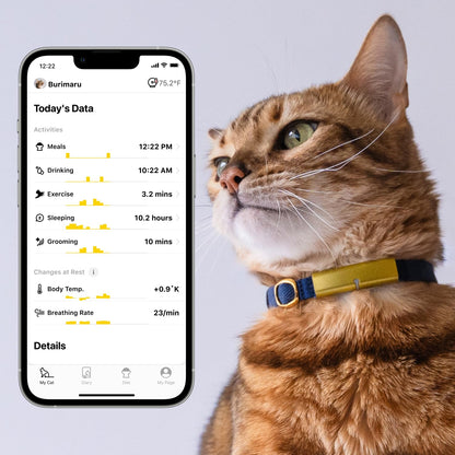 Catlog Collar - Health Tracker for Cats