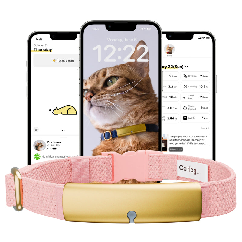 Catlog Collar - Health Tracker for Cats