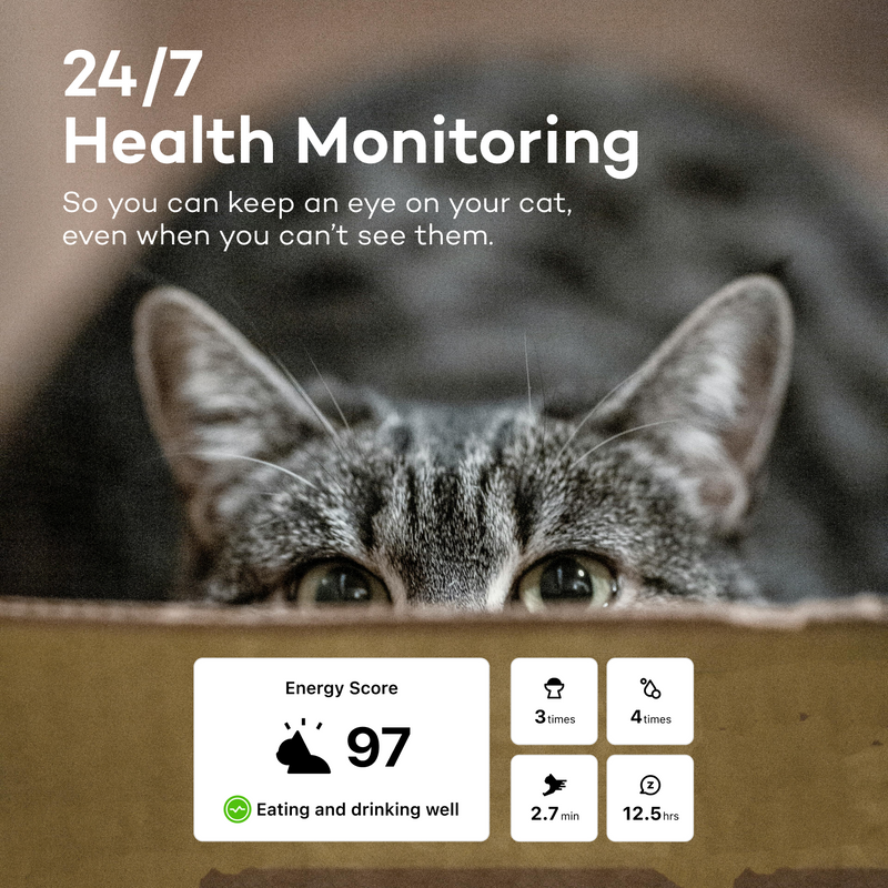 Catlog Collar - Health Tracker for Cats