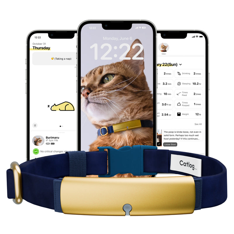 Catlog Collar - Health Tracker for Cats