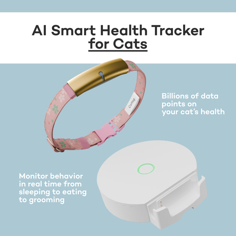 Catlog Collar - Health Tracker for Cats
