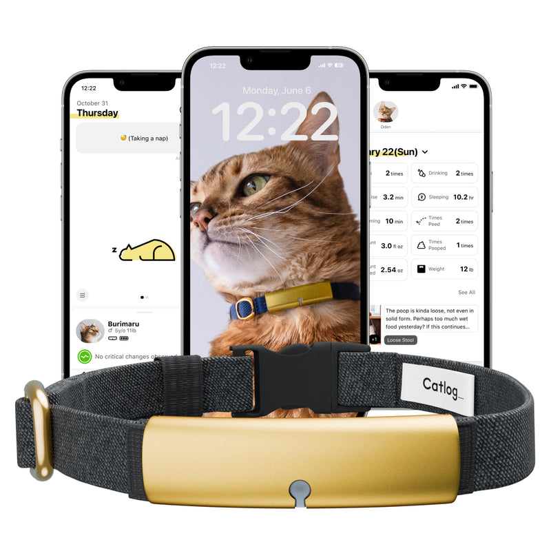Catlog Collar - Health Tracker for Cats
