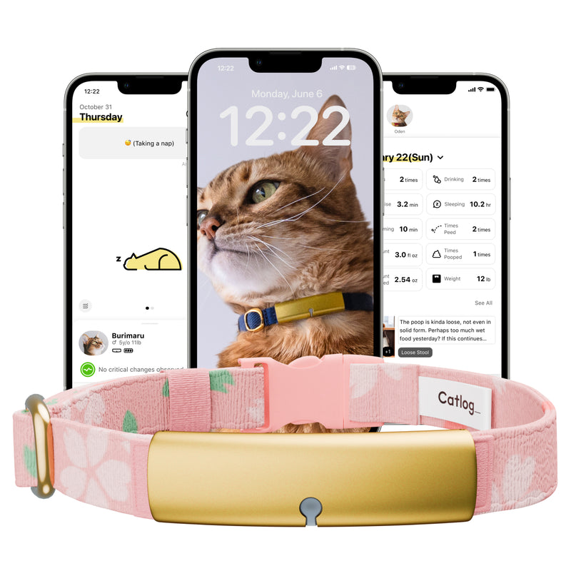 Catlog Collar - Health Tracker for Cats