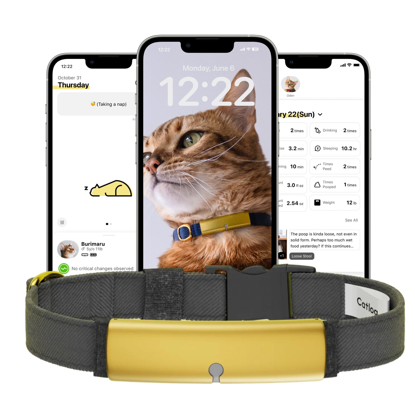 Catlog Collar - Health Tracker for Cats