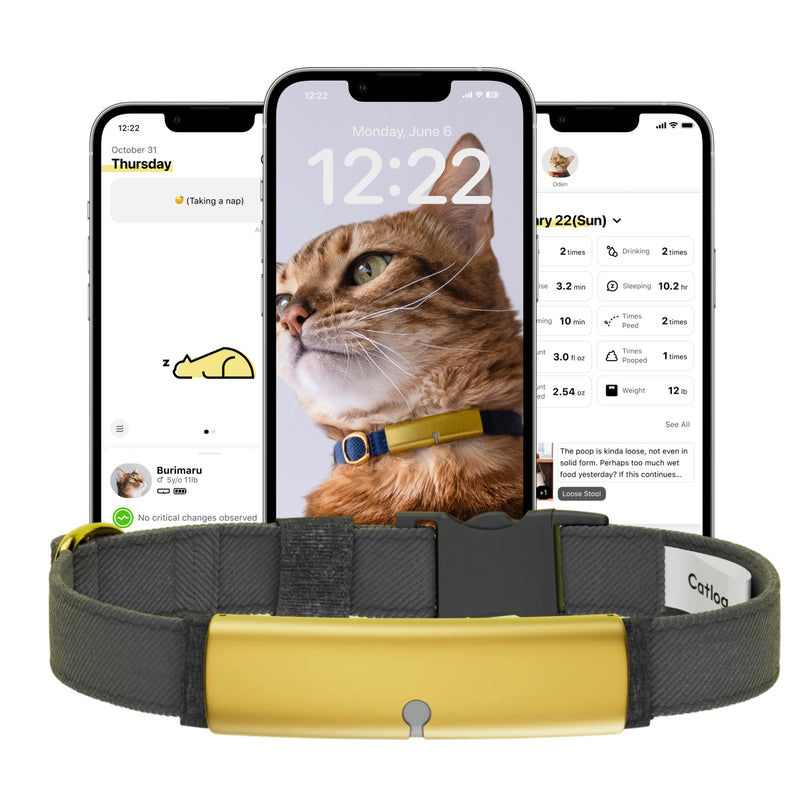 Catlog Collar - Health Tracker for Cats