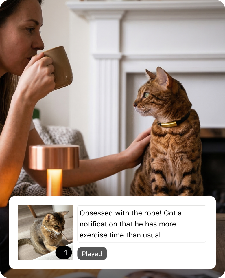 Smart Collar – Catlog