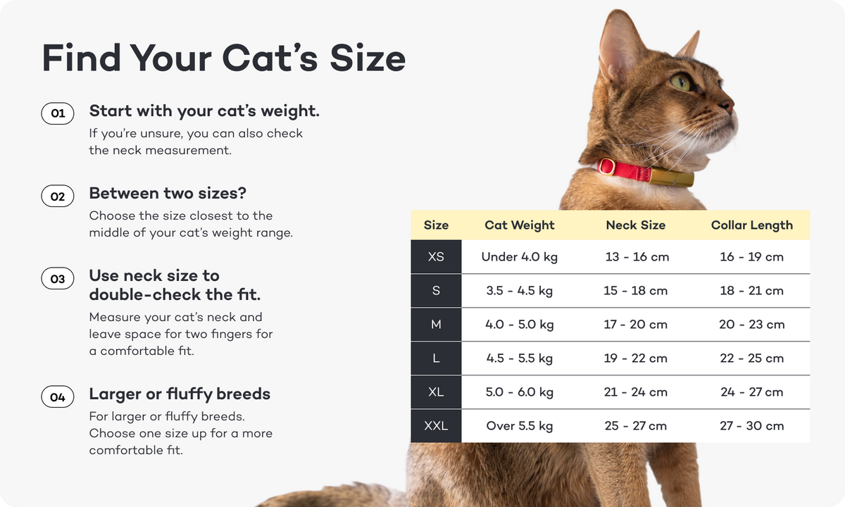 Smart Collar
