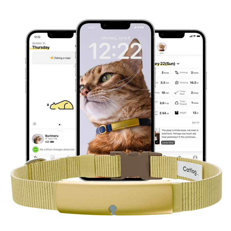 Catlog Collar - Health Tracker for Cats