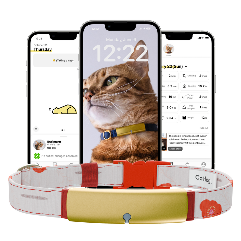 Catlog Collar - Health Tracker for Cats