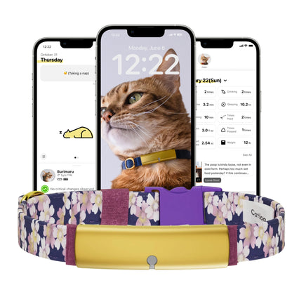 Catlog Collar - Health Tracker for Cats