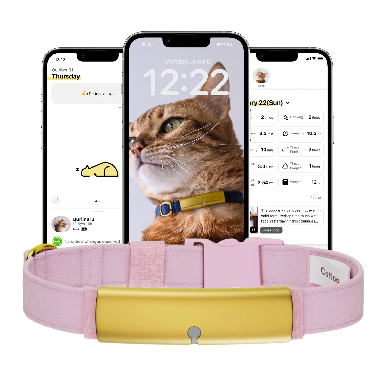 Catlog Collar - Health Tracker for Cats