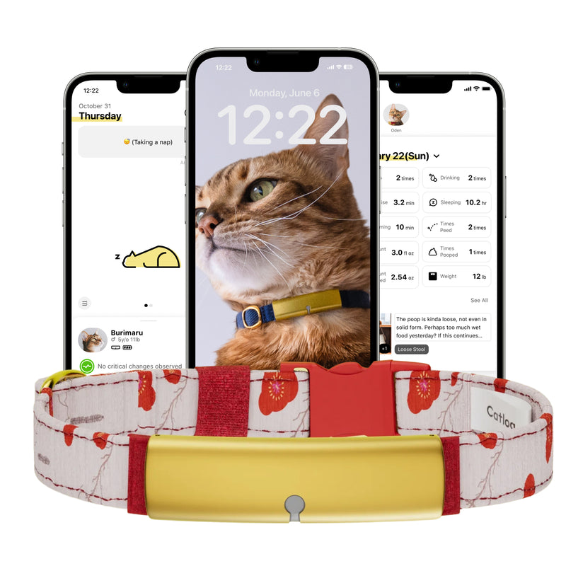Catlog Collar - Health Tracker for Cats