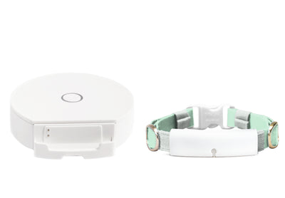 White × Mint Green