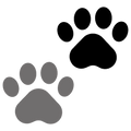 Multi-Cat Recognition