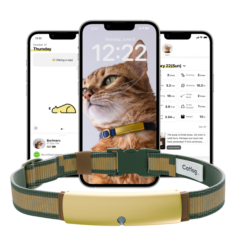 Catlog Collar - Health Tracker for Cats