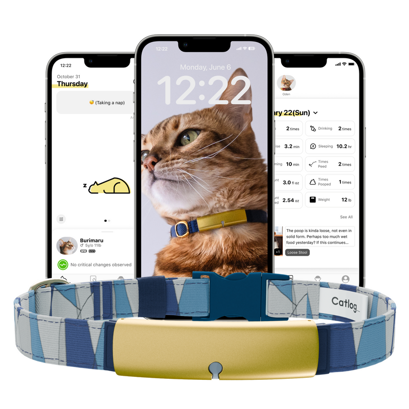 Catlog Collar - Health Tracker for Cats